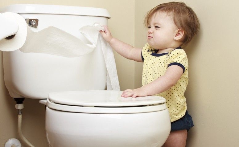 4 Dicas Para o Desentupimento Do Seu Vaso Sanitário De Maneira Fácil