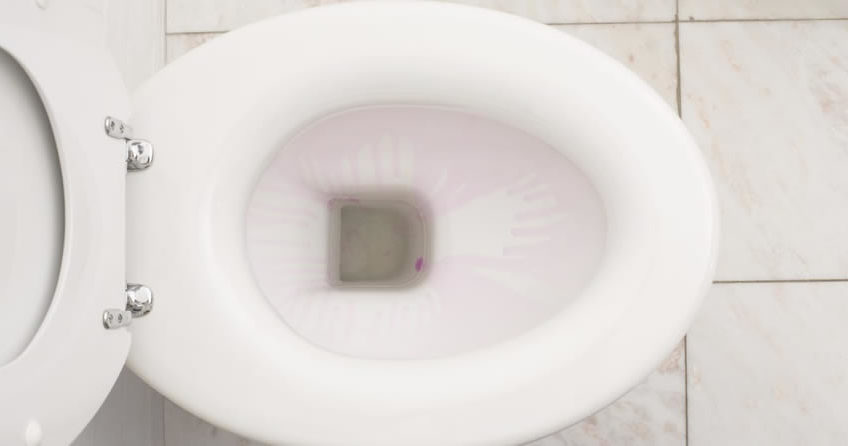 Vaso sanitário entupido: como resolver